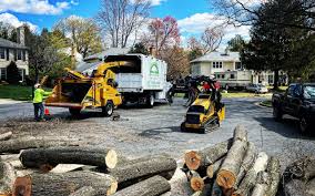  Lagunitas Forest Knolls, CA Tree Removal and Landscaping Services Pros